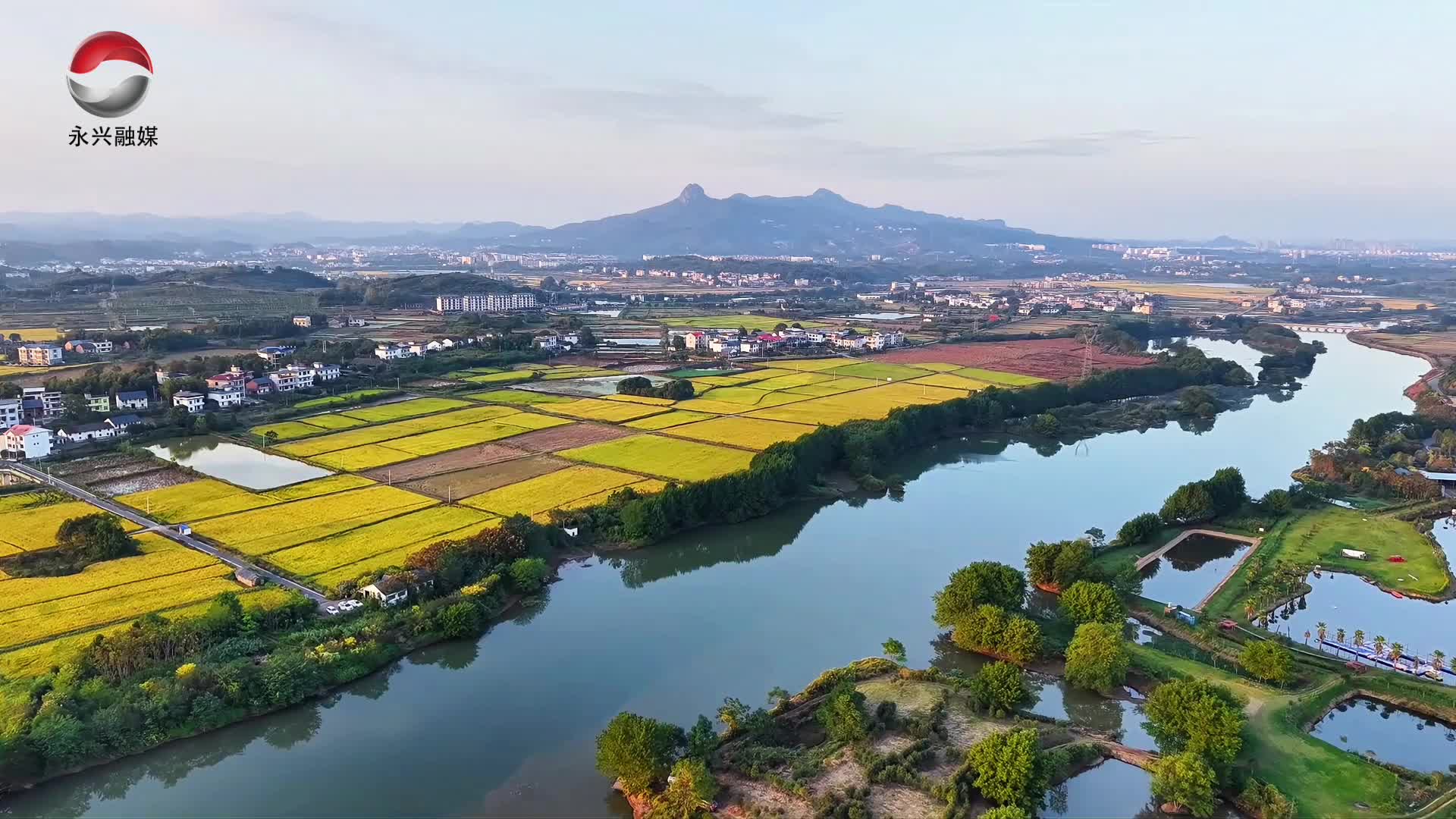 永兴西河湿地公园：芙蓉花开