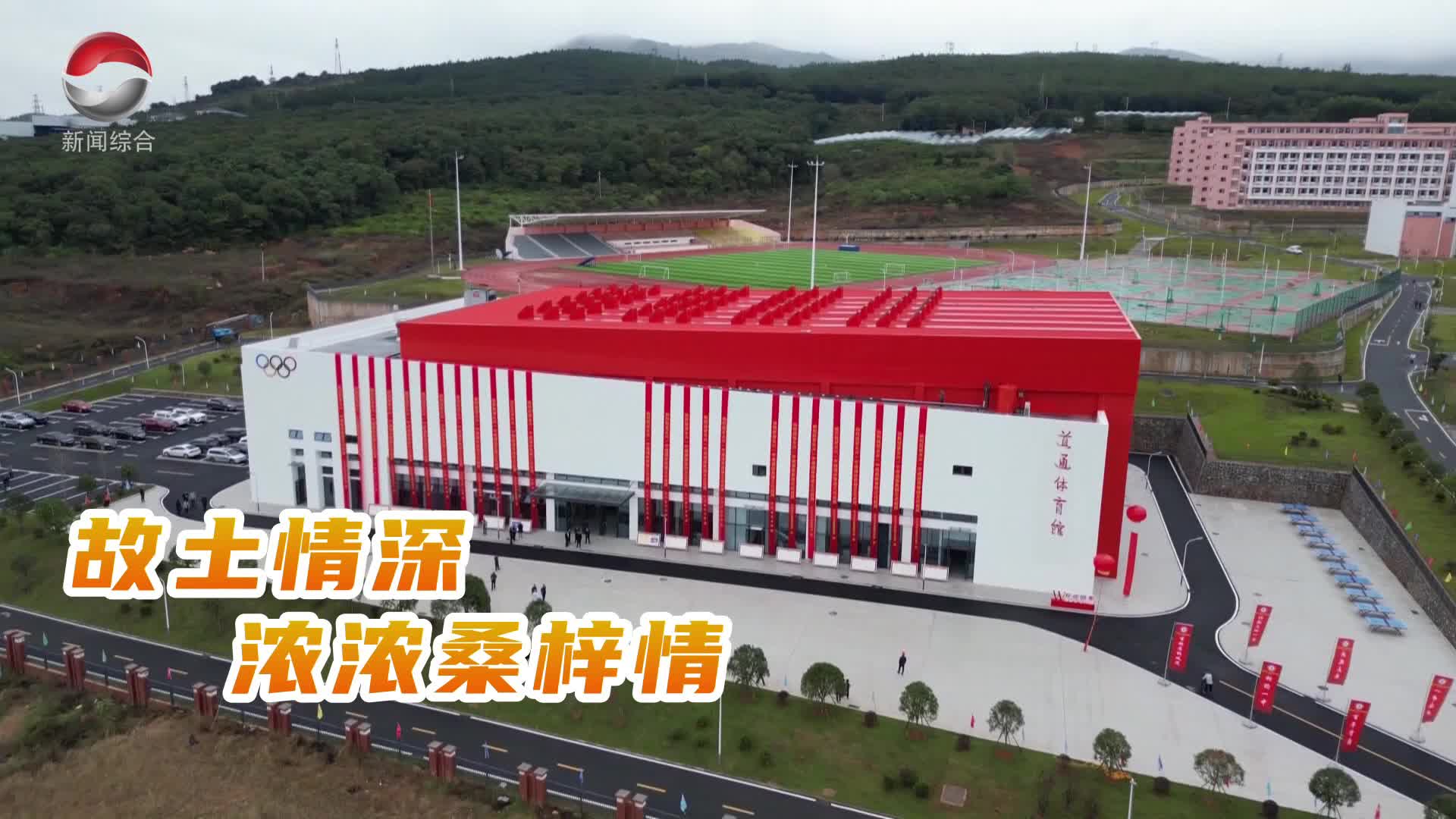 情暖家乡 共赢未来|曹智琴：乡贤不“闲”点“竹”成金