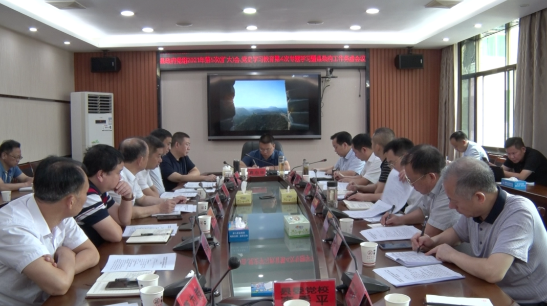 永兴县政府党组2021年第五次（扩大）会、党史学习教育第4次专题学习暨县政府工作务虚会议召开