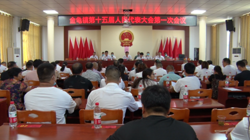 永兴县金龟镇第十五届人民代表大会第一次会议召开