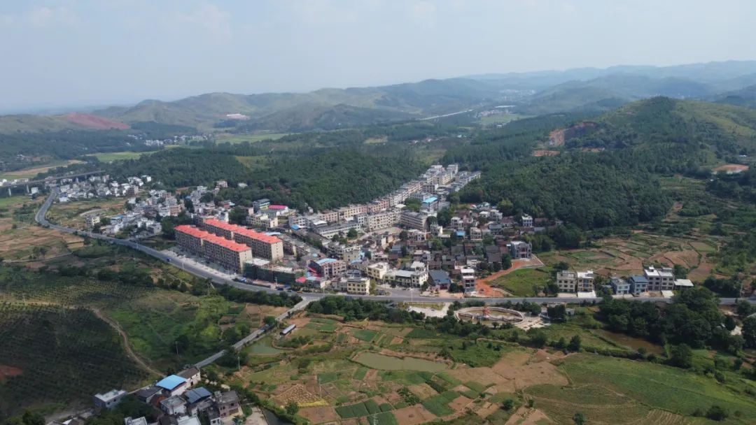 “五区并建”——我们这样干｜李景现：“强民生、强产业、强商贸”