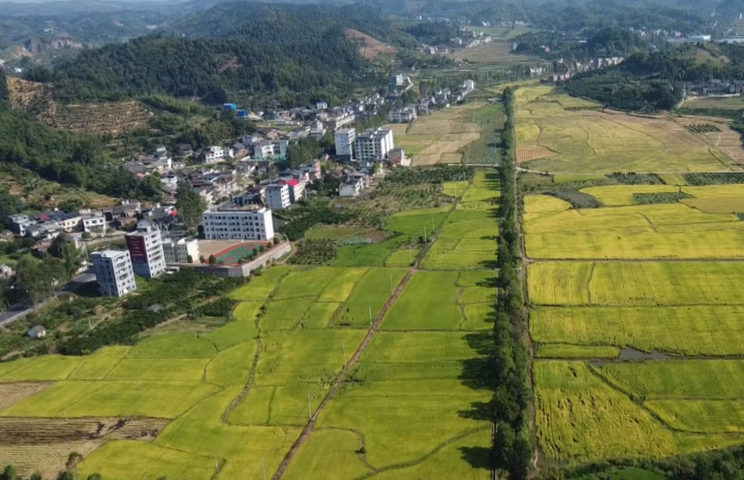 “五区并建”——我们这样干｜王素平:壮大优势产业 加快融城步伐