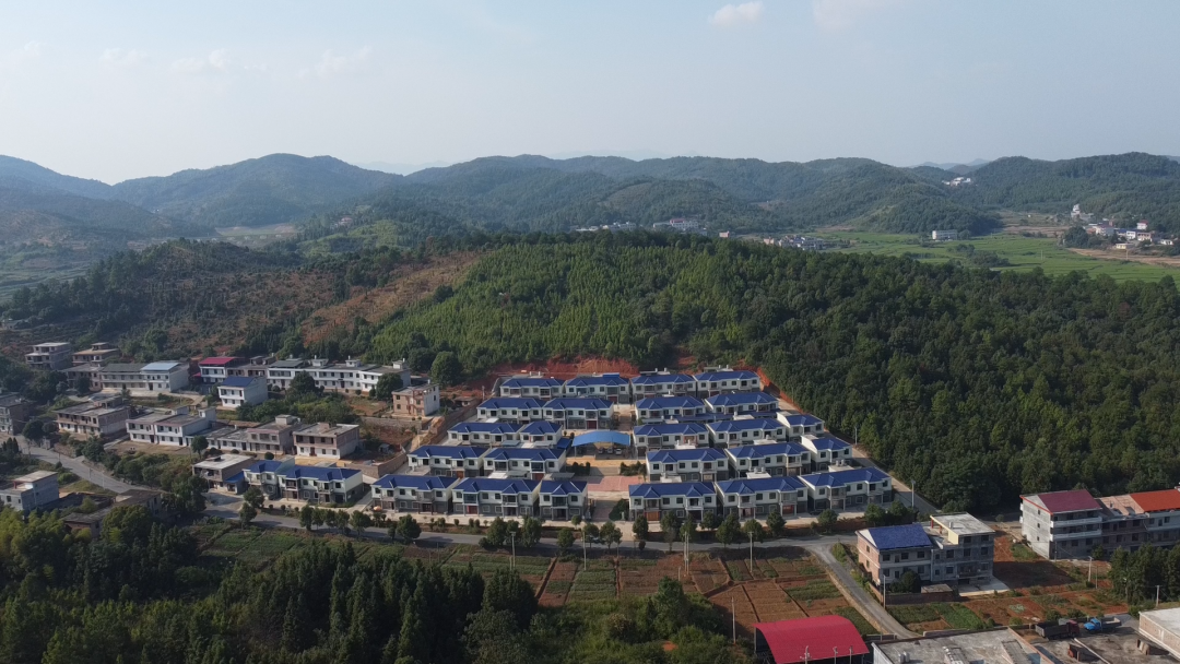 “五区并建”——我们这样干｜陈静：转型升级之路 开创新时代