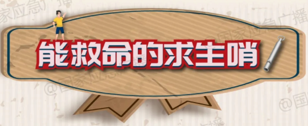这是个可以提高生还几率的好物！