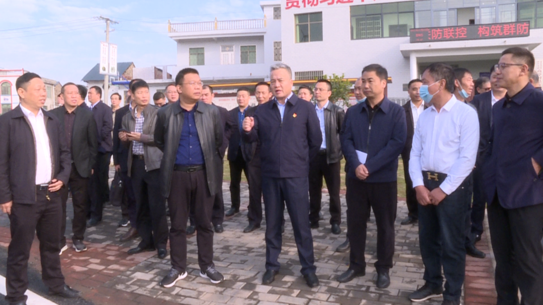 永兴县党建引领乡村振兴现场推进会召开