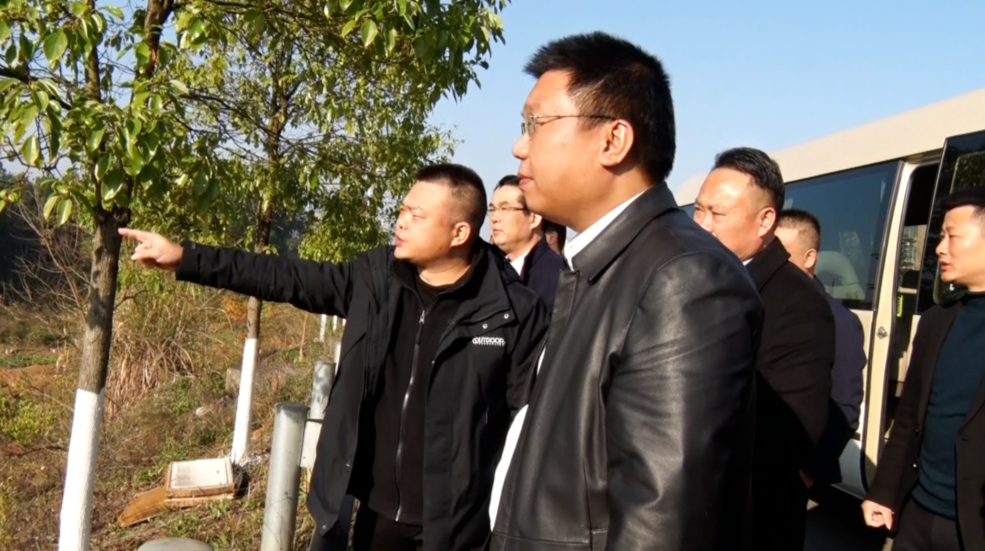 宾心华到湘阴渡街道调研农业产业发展工作