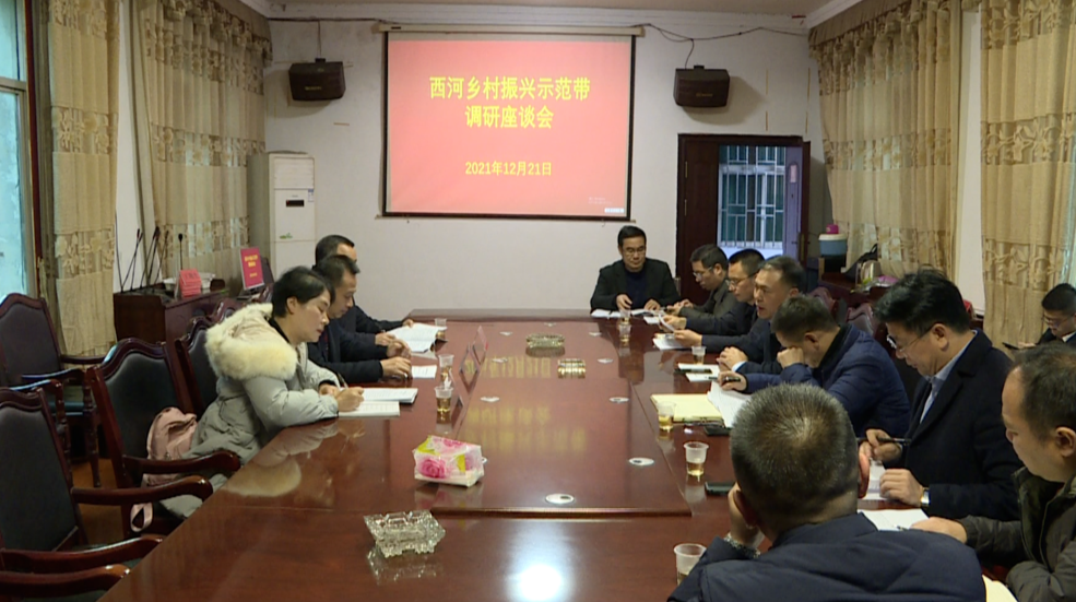 湘南学院专家组调研西河乡村振兴示范带建设