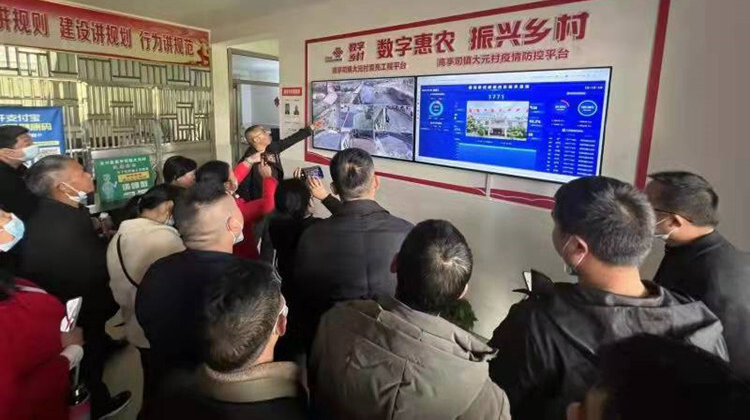 永兴县鲤鱼塘镇：支书论坛搬到乡村振兴现场