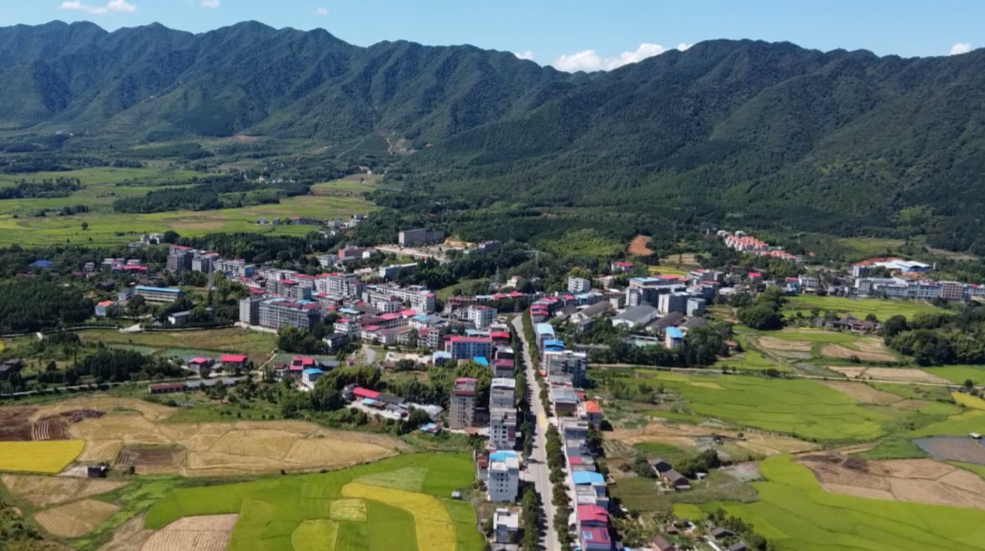我们的2021|  鲤鱼塘镇：打造特色产业 助力乡村振兴