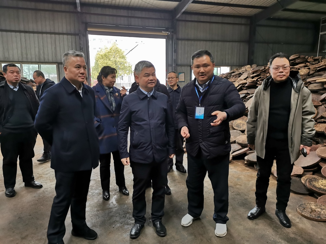 市政协主席陈跃文到永兴县调研油茶产业发展与政协工作
