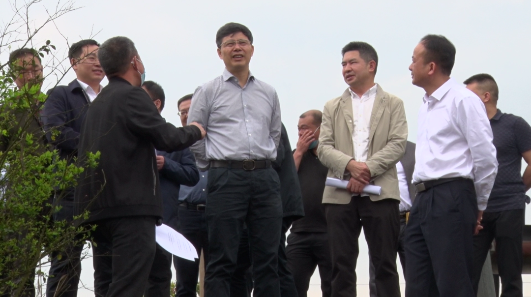 “五区并建”进行时 |市人大调研组来永兴县调研耕地保护工作情况