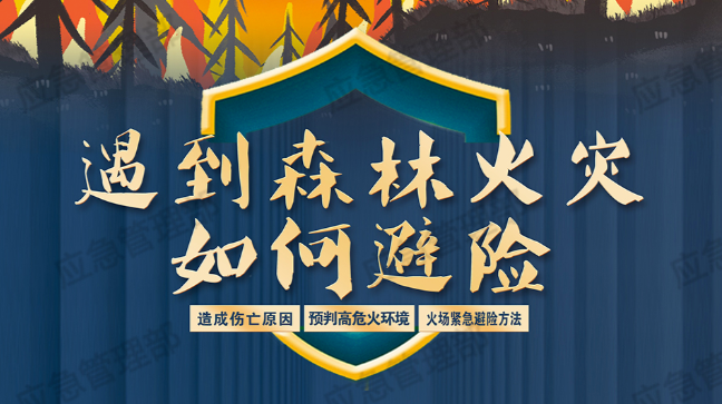 森林草原防火季 | 图说：遇到森林火灾如何避险？