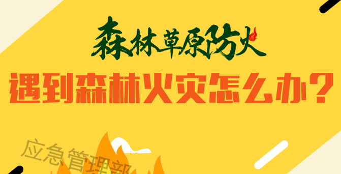 森林草原防火季｜图说：遇到森林火灾怎么办？