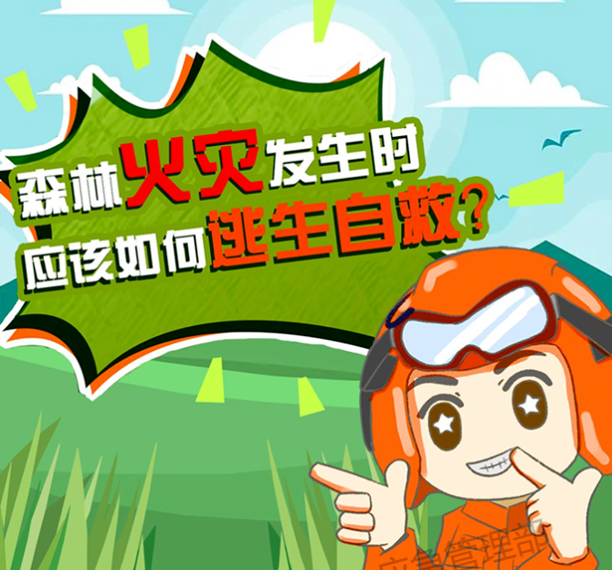 森林草原防火季｜图说：发生森林火灾时，如何逃生自救？