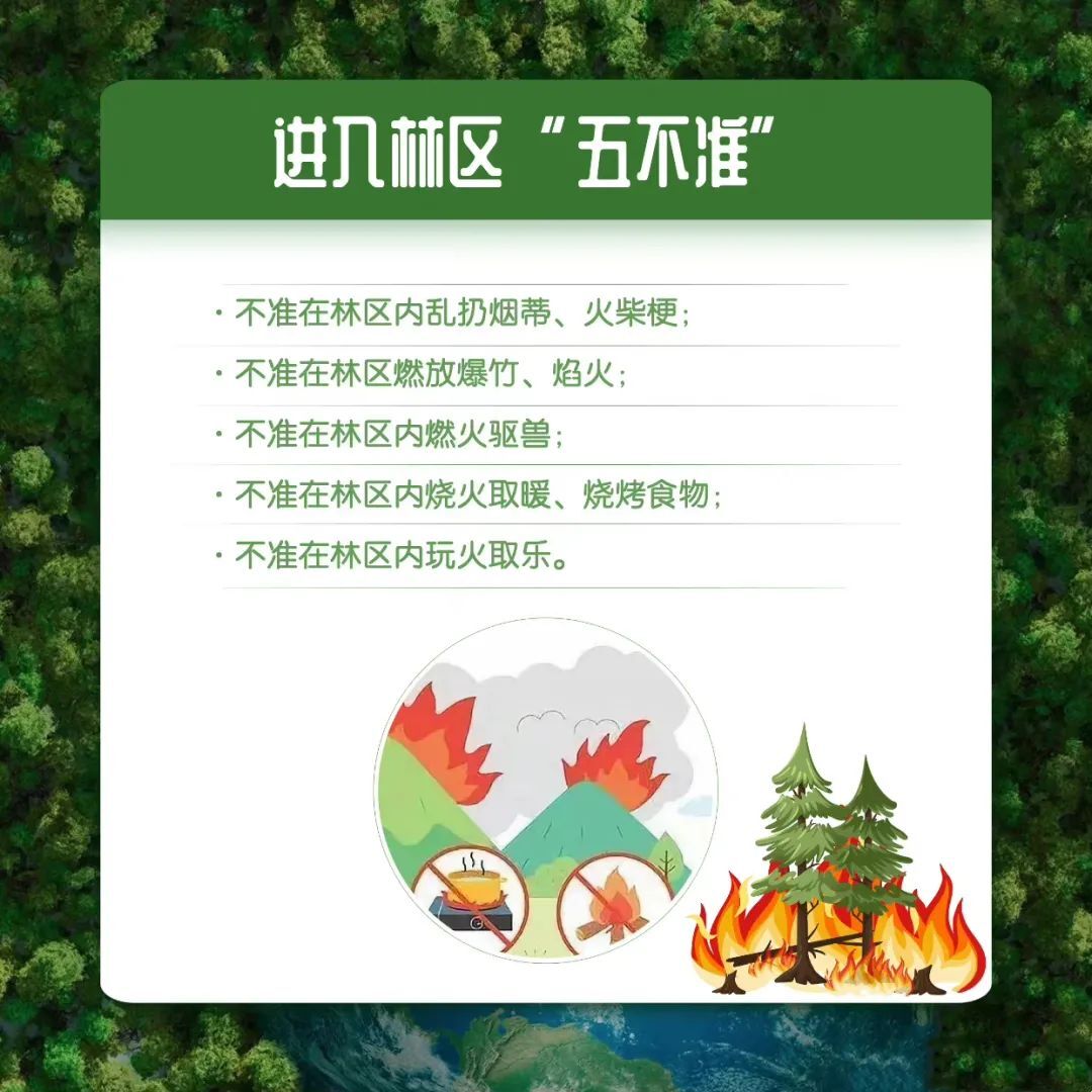 图说森林防火安全知识