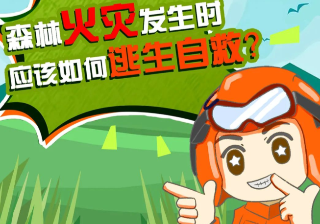森林火灾发生时如何逃生？ 这些自救知识请查收