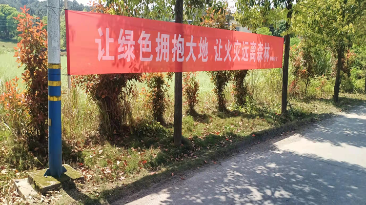 永兴县樟树镇三大举措筑牢森林防火安全屏障
