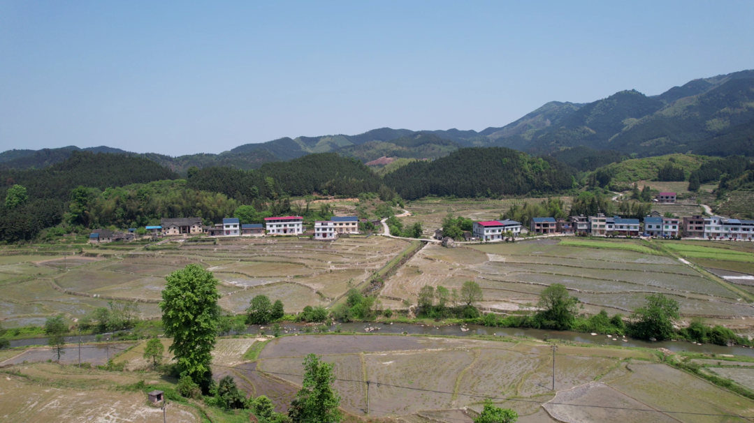 优秀村（社区）党组织书记 | 曾腾芳：破解农田细碎化问题  提高农业综合生产能力