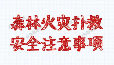 森林草原防火季丨图说：森林火灾扑救安全注意事项