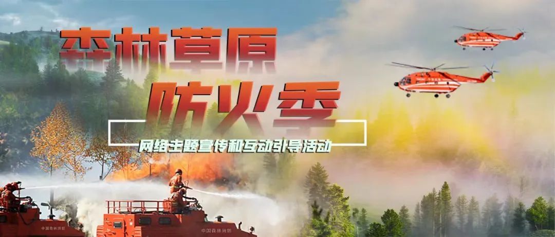 森林草原防火季 | 图说：森林草原火灾的法律责任
