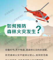 森林草原防火季 | 图说：如何预防森林火灾发生？