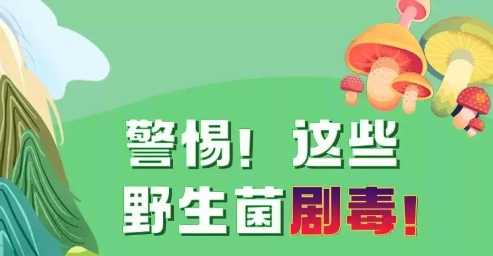 警惕！这些蘑菇有毒！