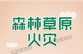 森林草原防火季 | 图说：草原防火期内，在草原上用火有哪些规定？