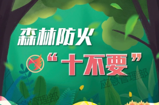 森林草原防火季丨图说：森林防火“十不要”