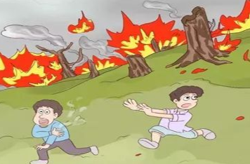 威头条｜“五一”出游，森林防火不可大意！