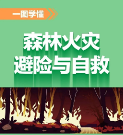 威头条丨一图学懂：森林防火常识与避险自救