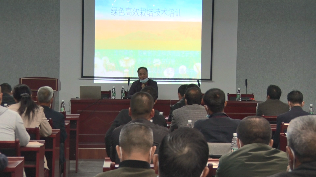 柑橘栽培技术培训助推种植户高产增收