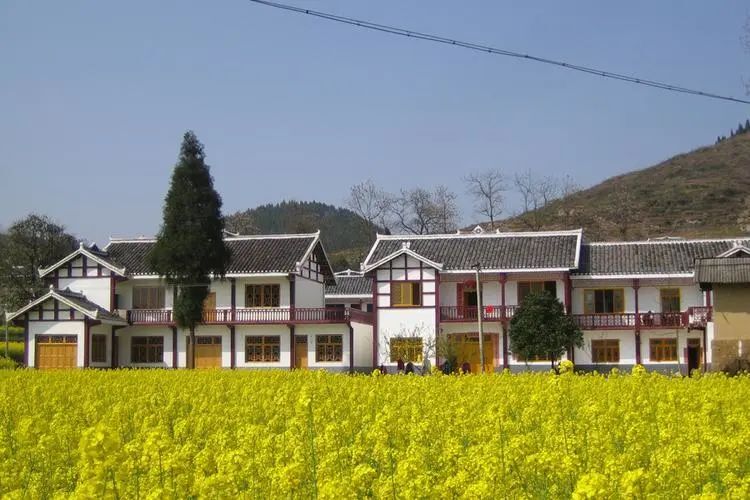 新规来了！事关郴州农村建房