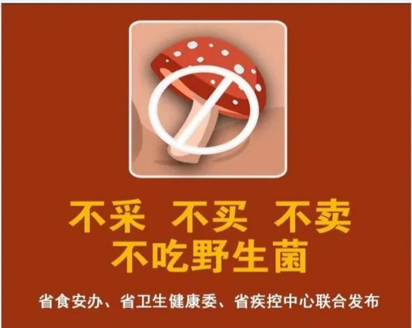 湖南发布首期野生蘑菇中毒风险预警