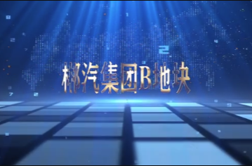 永兴县政府储备土地推介|郴汽集团B地块