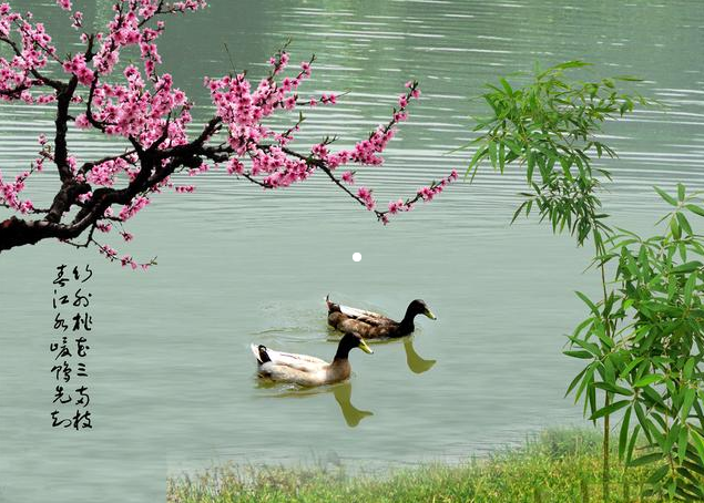 永兴县牛雅村：一首诗词