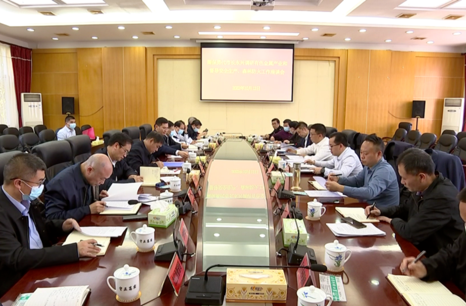 阚保勇在永兴县调研有色金属产业并开展暗访督导：坚持一条主线 抓实三个重点 守牢三条底线 做强一大产业
