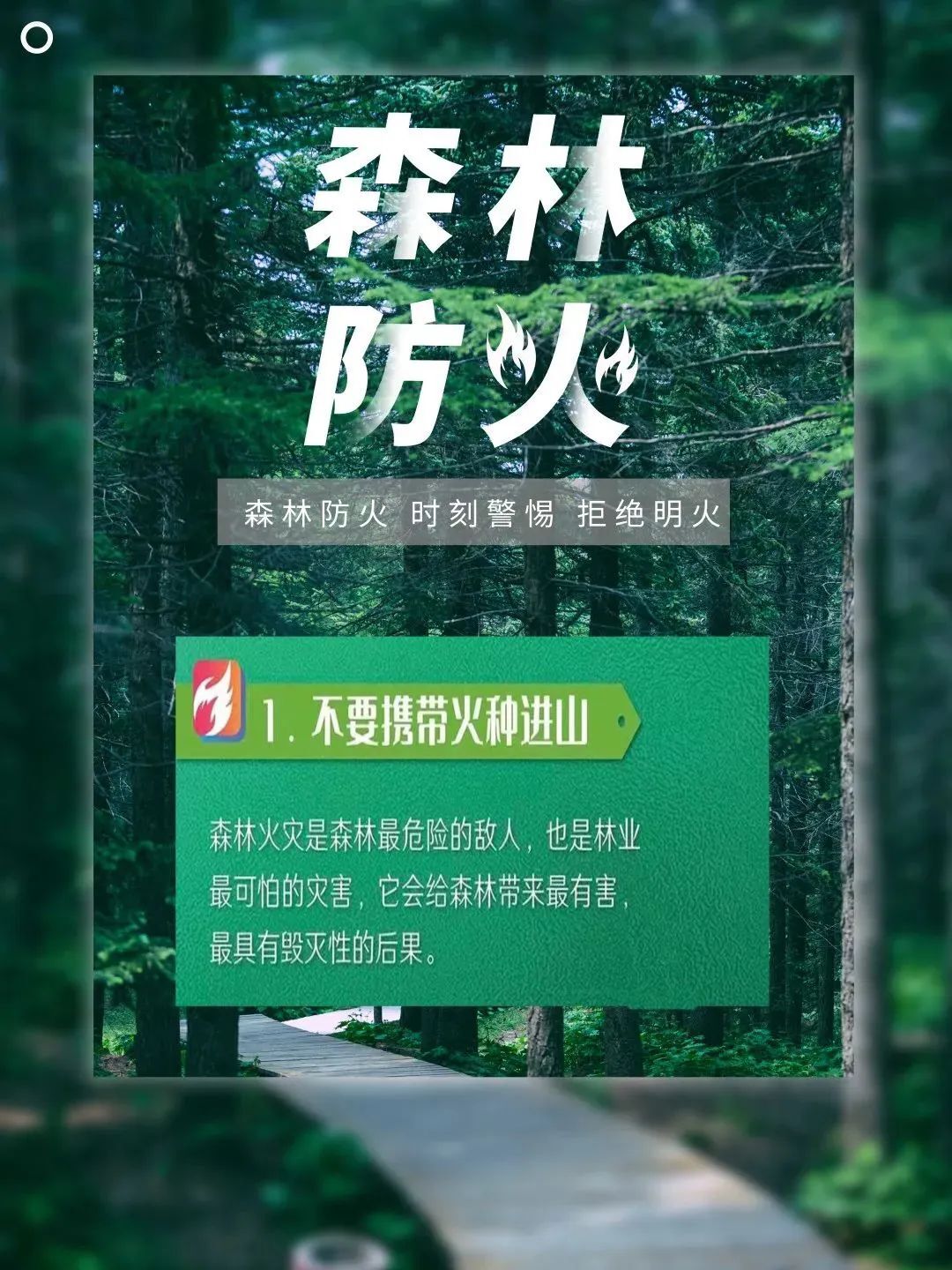 森林防火“十不要”，你都知道多少呢？