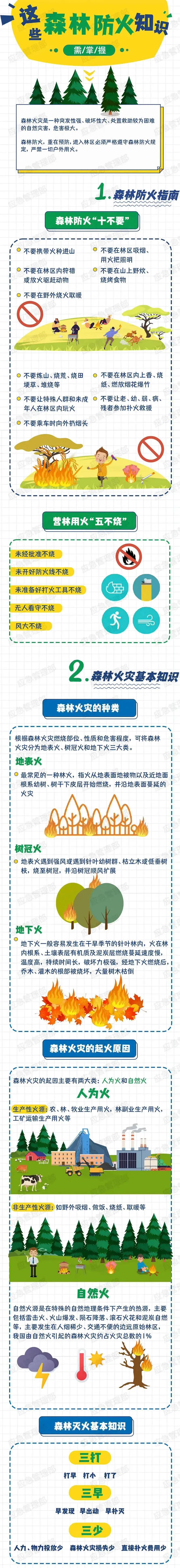 森林防火丨森林防火必备常识