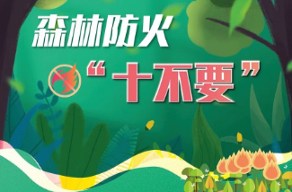 应急科普丨森林防火“十不要”