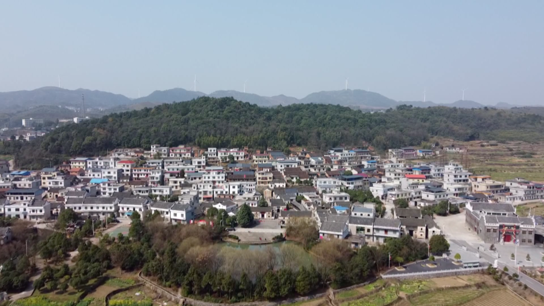 新春走基层|郴州市“担当作为好支书”黄灵兵：红色文化与乡村振兴结合助发展