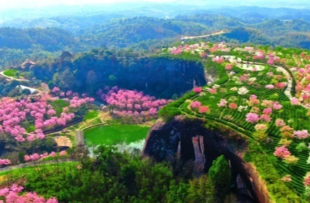 湖南日报观察头条丨郴州，一个有花的地方