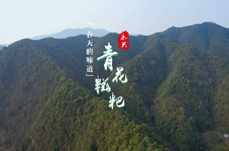 品美食丨郴州永興“青花糍粑”