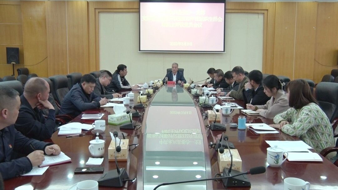 刘朝晖以普通党员身份参加县委办一支部2022年度组织生活会和民主评议党员大会