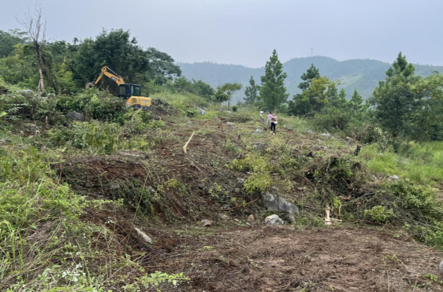 永兴县油麻镇：治理抛荒撂荒地 多措并举焕生机