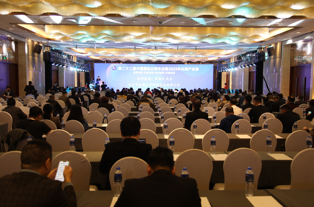 共享机遇 共谋发展 共促消费 共银未来：永兴县组团参加第二十二届中国国际白银年会
