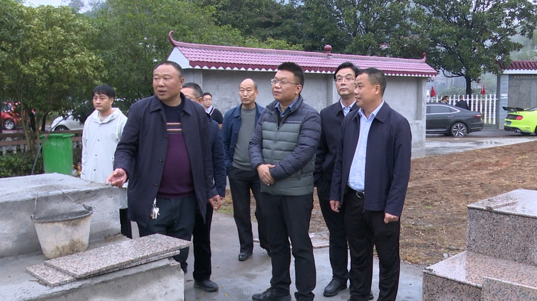 宾心华在马田镇调研乡村振兴和产业发展