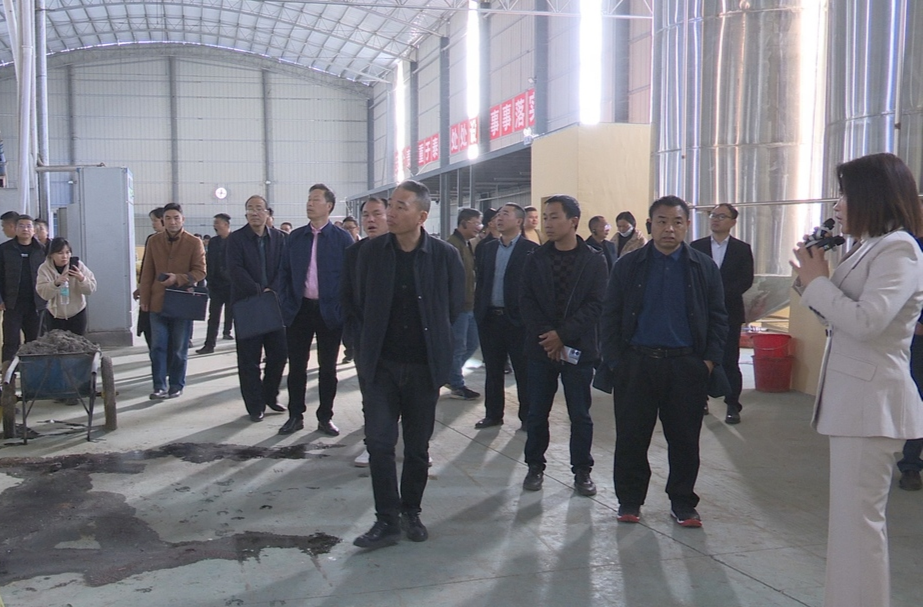 郴州永兴：高桥村供销社:闯出服务“三农”新天地
