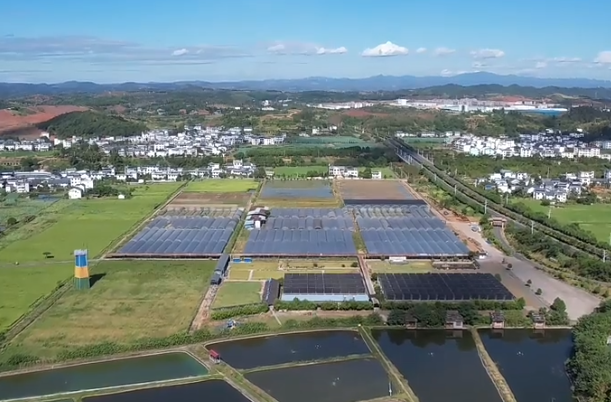 红色地标｜湘赣边法治文化带—永兴县“插标分田”法治教育基地