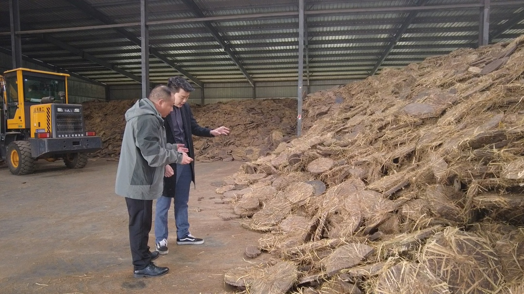 永兴县开发茶枯饼循环再利用 延长油茶产业链