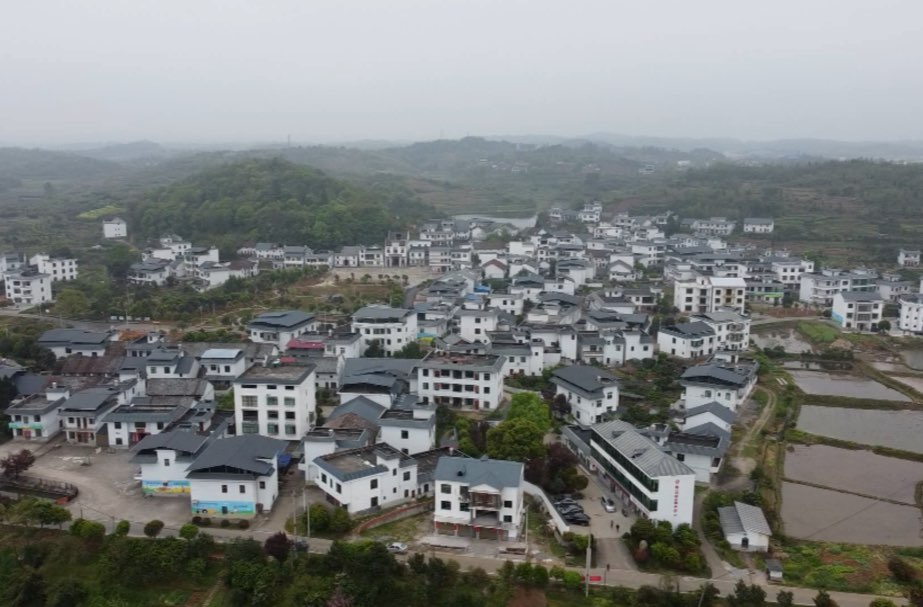 永兴县堡口村：让党旗在村级集体经济一线飘扬